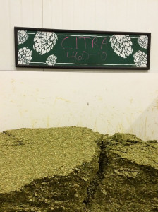 Hop Room at Sierra Nevada